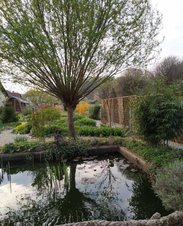 Biljno carstvo Vanje i Alena u Šenkovcu: Njihov vrt ‘Četiri godišnja doba’ mami poglede