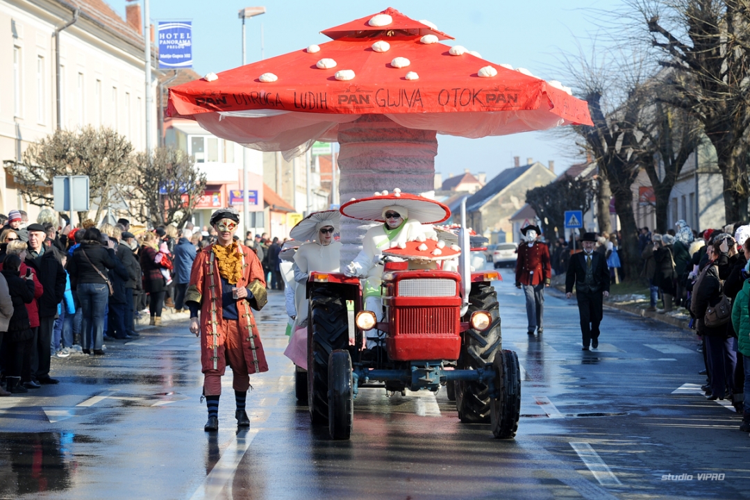 276411237dsc6632657202