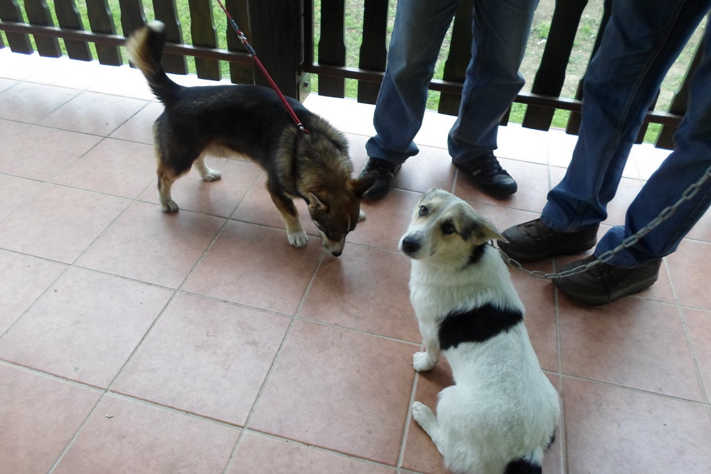 fotografija00001320527