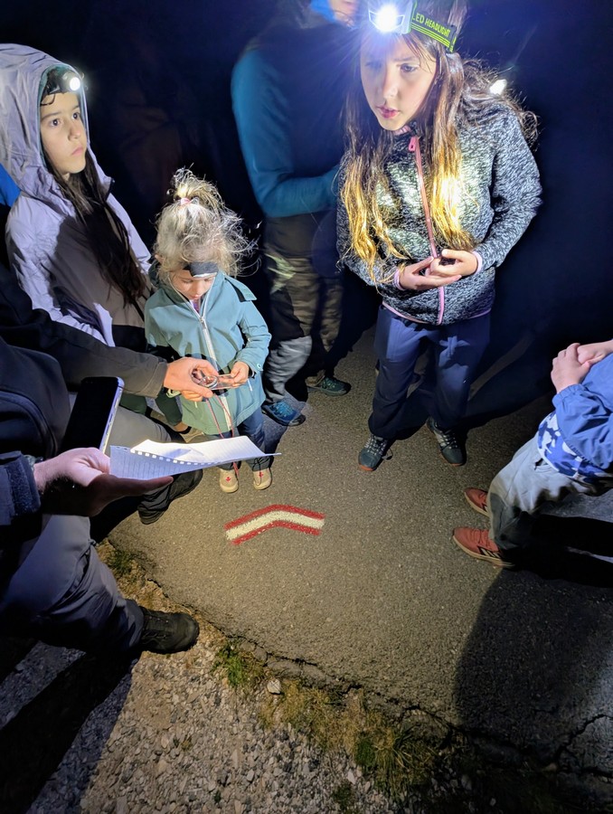 04-04 Večernja vježba orijentacije kretanjem po azimutu