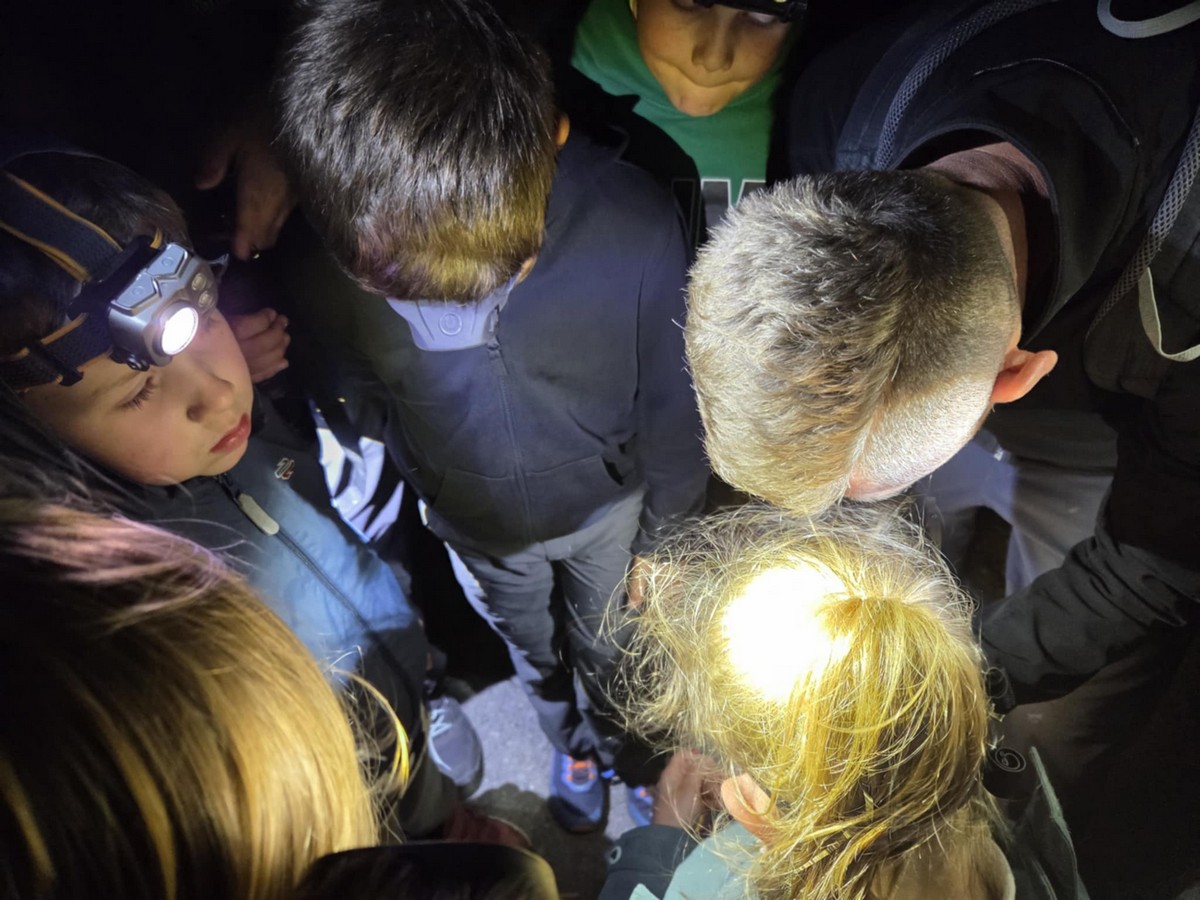 04-05 Večernja vježba orijentacije kretanjem po azimutu