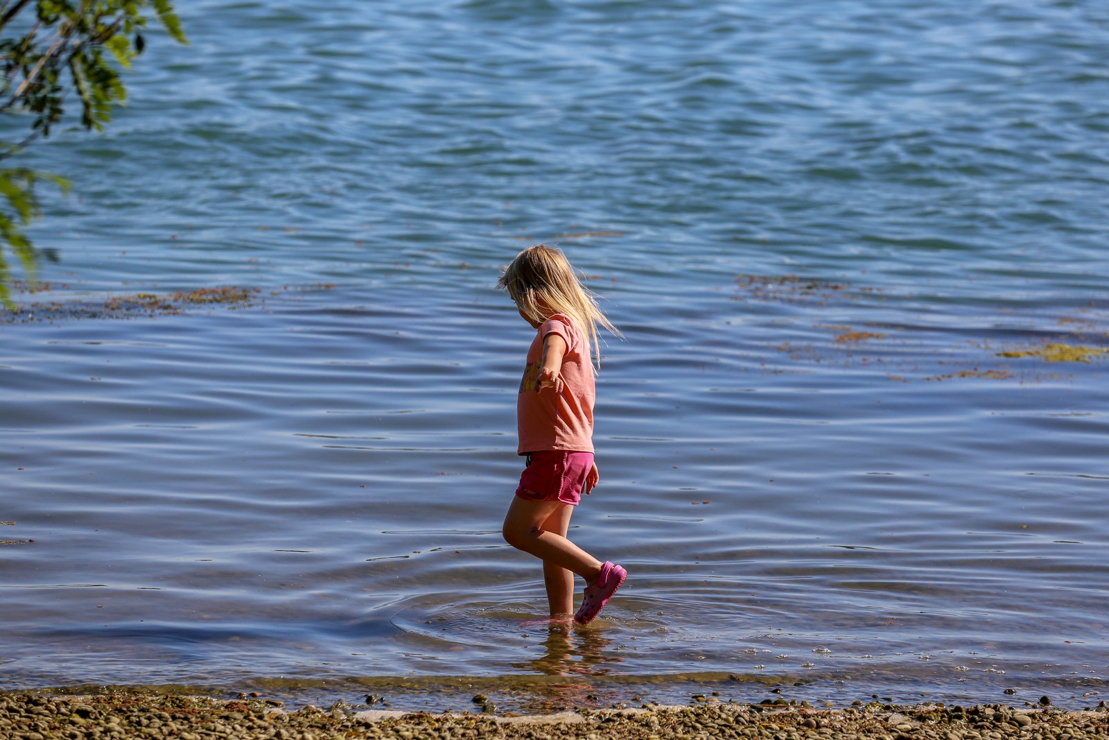 Klikom po Marini (19.6.2022.)