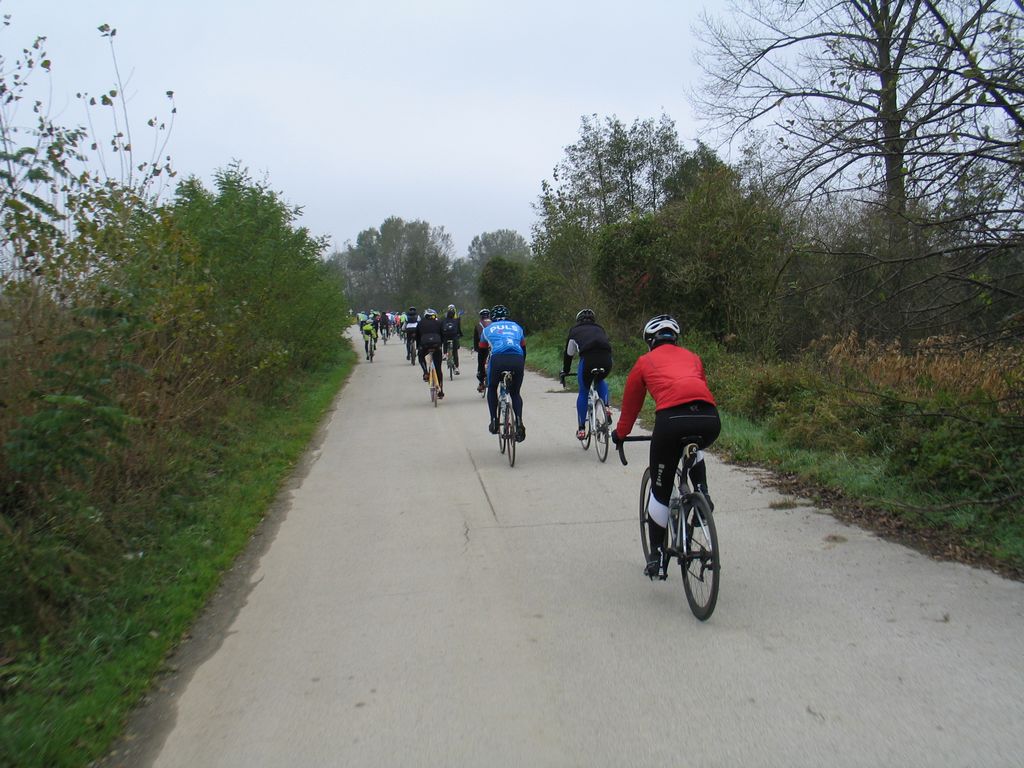 bicikiranjeumrezi33842176