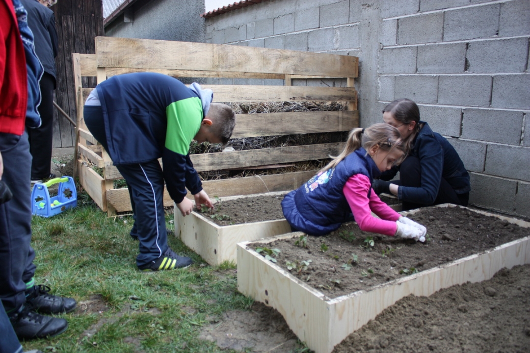 img4247resizekopija583941