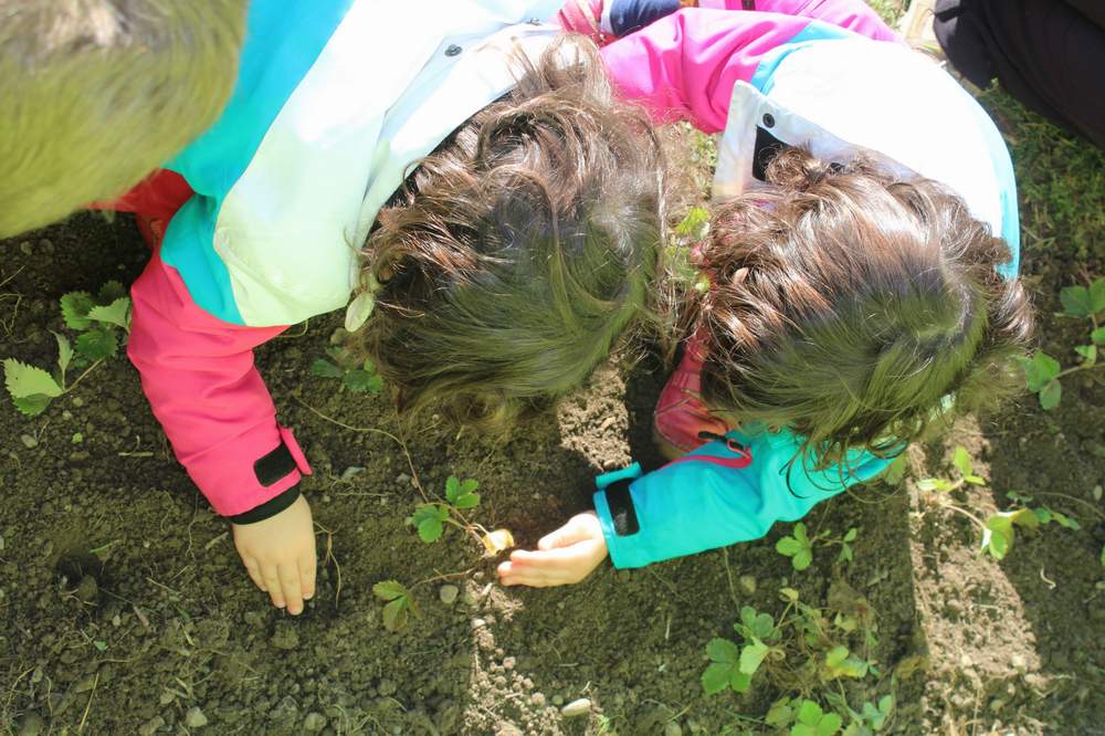 12112015povockajmovrtovedjecjah