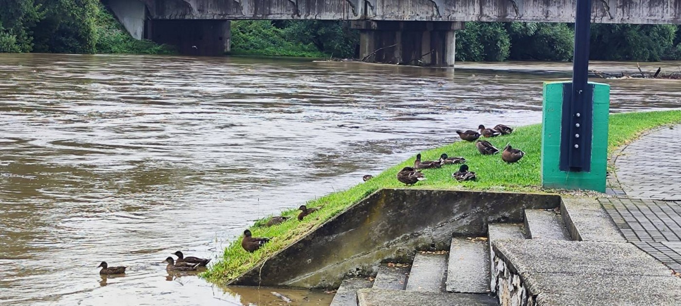 STOŽER CIVILNE ZAŠTITE Očekuje se velik vodostaj rijeke Mure