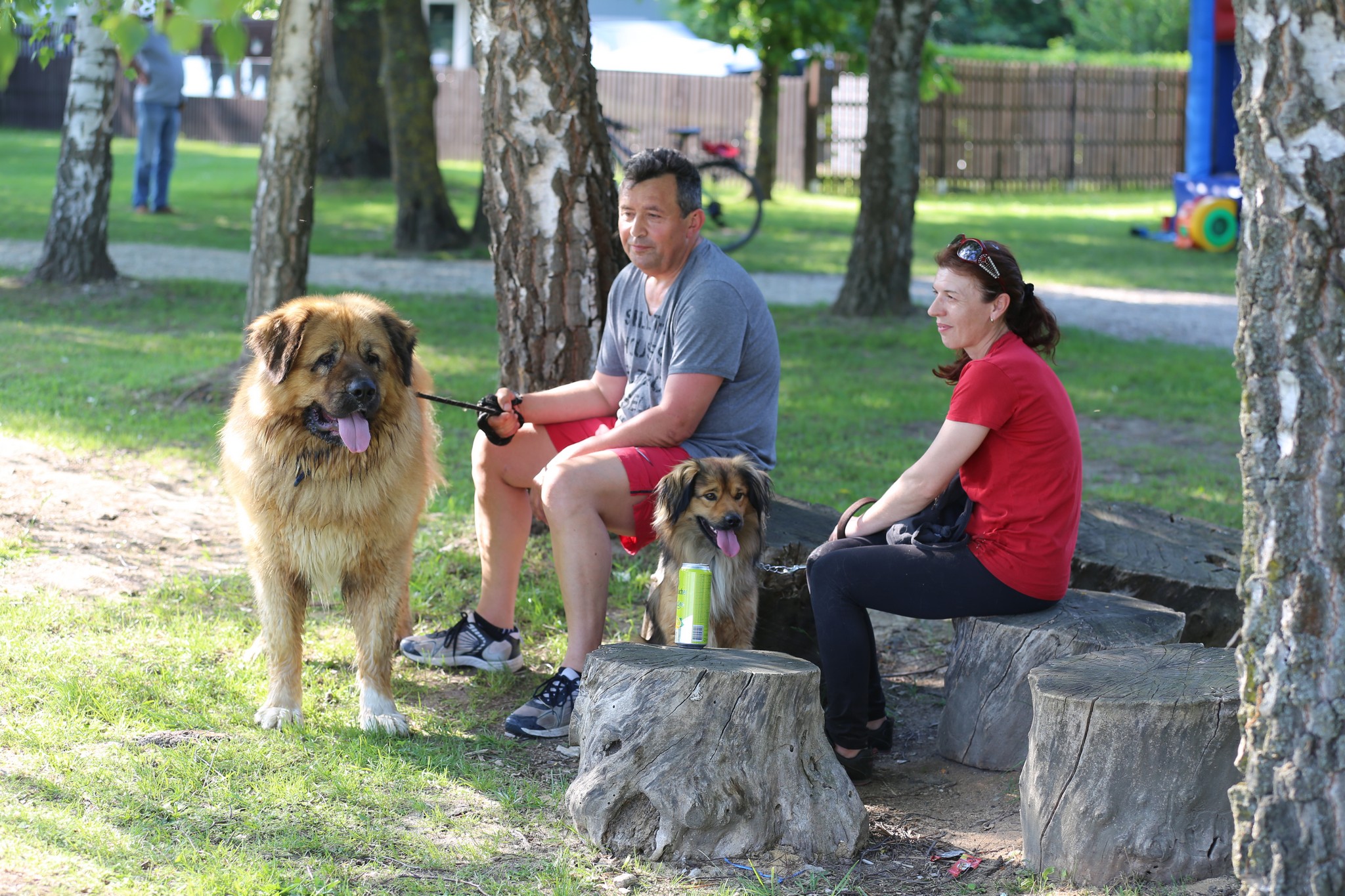 Klikom po Marini (nedjelja, 22.5.2022.)