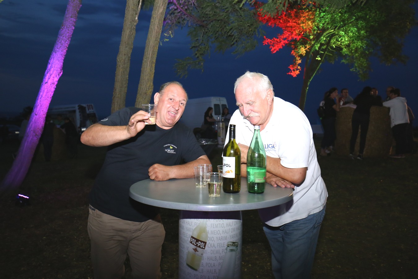 Odličan koncert Vatre u predivnom ambijentu Mađerkinog brega