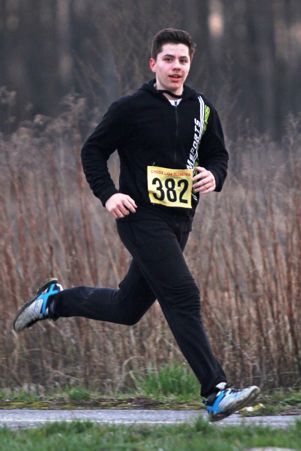 20160308170803913224