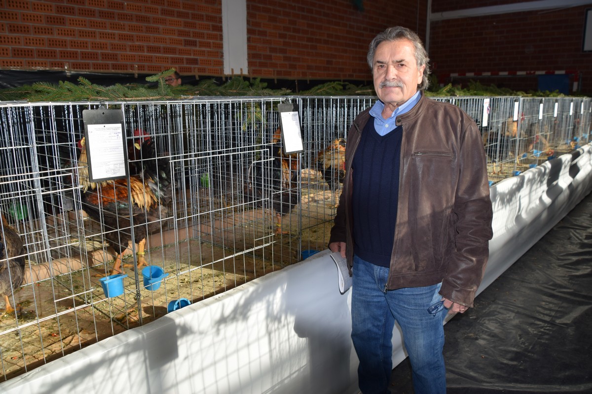 DONJA DUBRAVA Brojni posjetitelji razgledali rekordan broj eksponata na Državnoj izložbi malih životinja DONJA DUBRAVA Brojni posjetitelji razgledali rekordan broj eksponata na Državnoj izložbi malih životinja