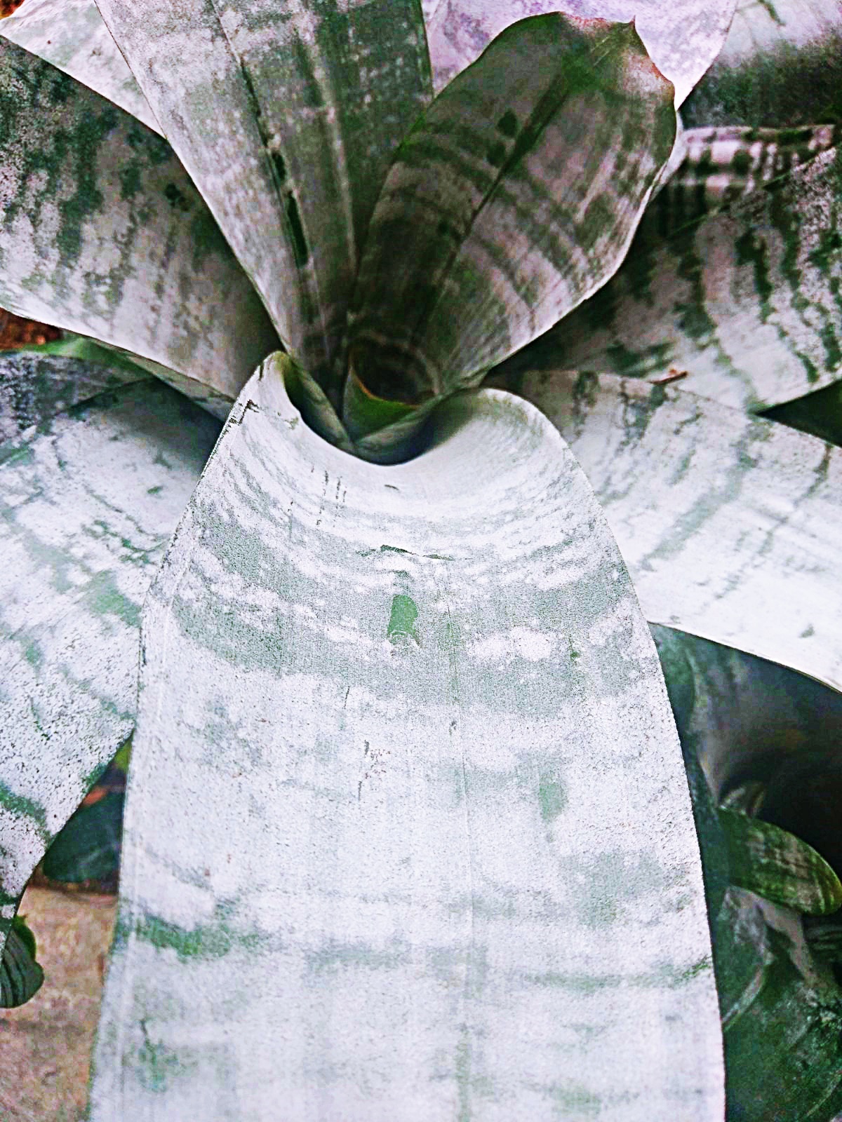 Image 5818413 (auto)