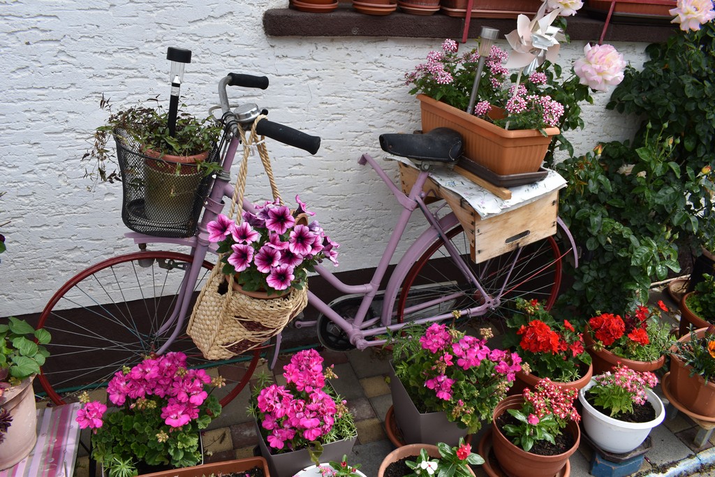 U RASKOŠNOM CVJETNJAKU ANE ŠAFARIĆ Miljenica mi je Ingrid Bergman