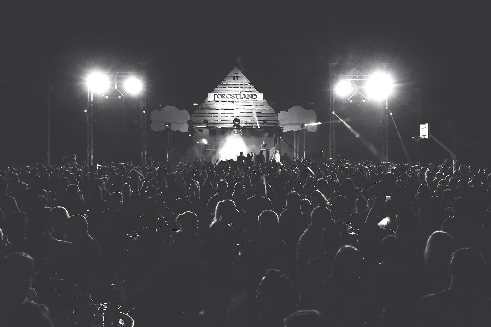 festivalforestland1598217