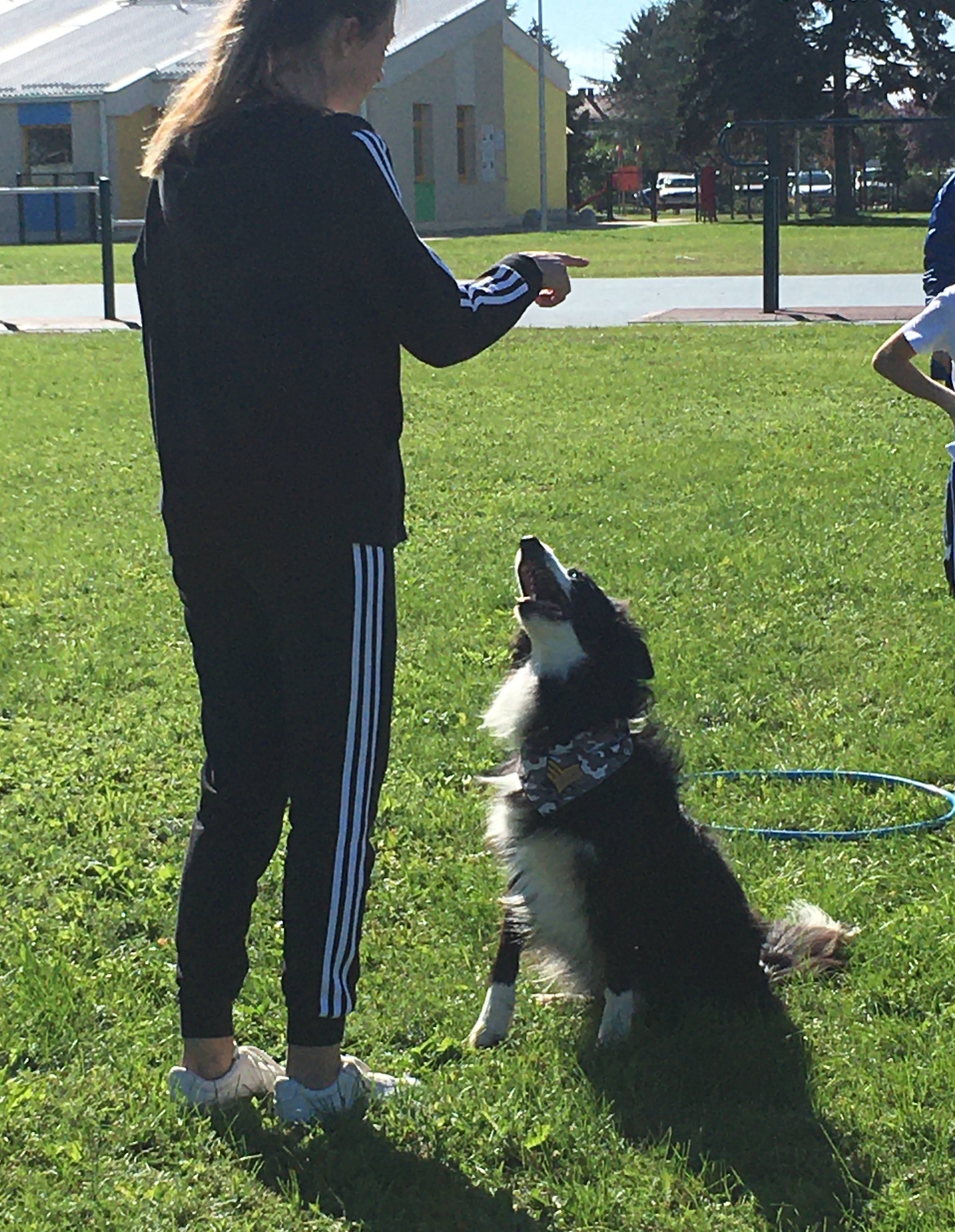 OŠ Tomaša Goričanca Mala Subotica – pas Tesla