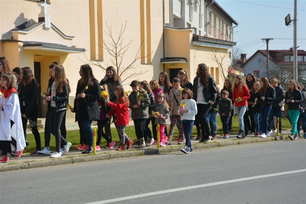 cvjetnica032016k553393