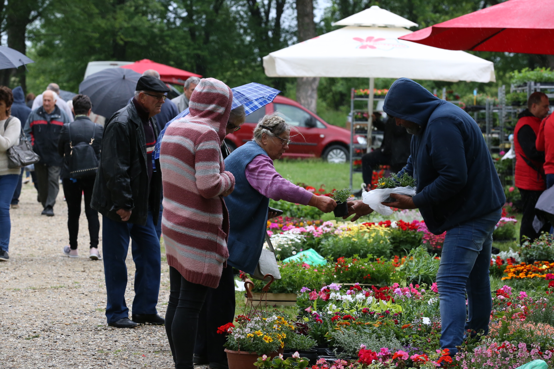 Čakovečki sajam srijedom (20.5.2020.)