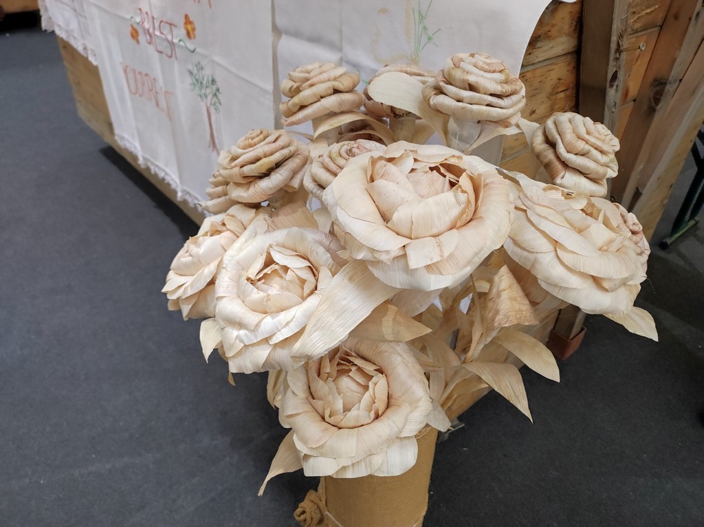 DANIJELA CIRKVENČIĆ Komušina mora biti suha i zrela