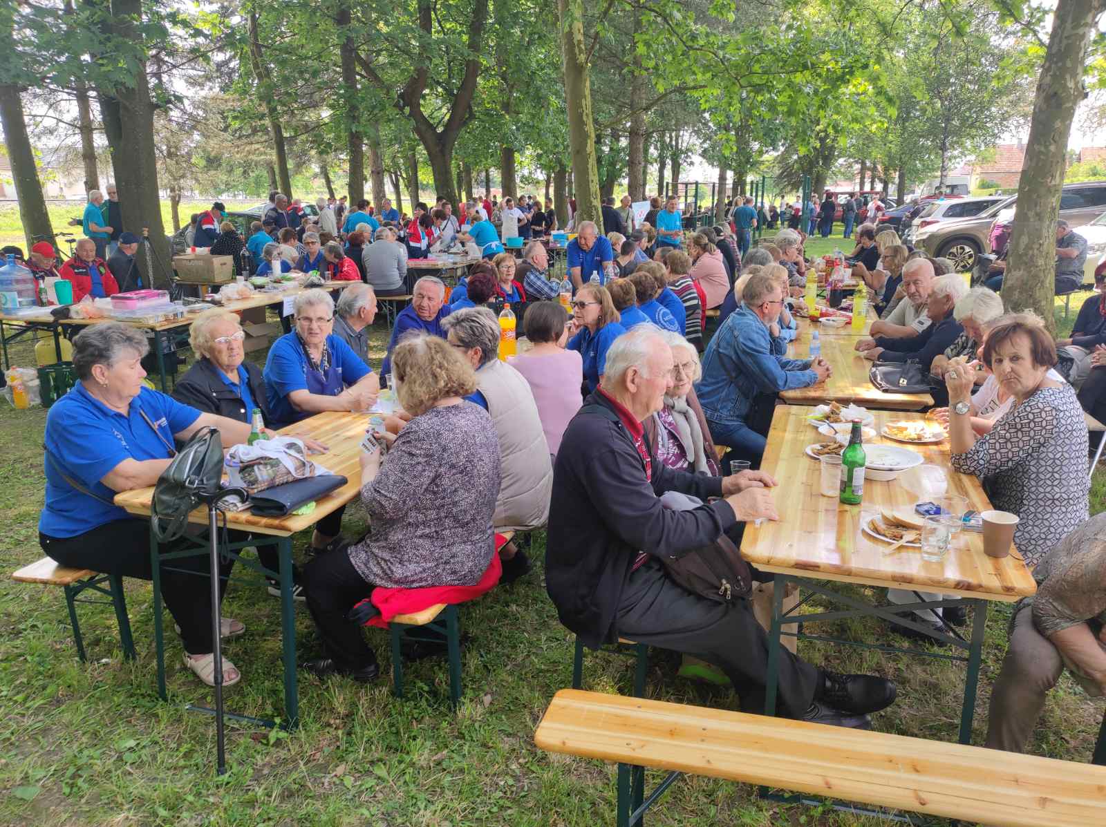 FOTO I VIDEO Kotoriba: Miris ribe, fina hrana i pravi užitak na Danima ribe i šibe