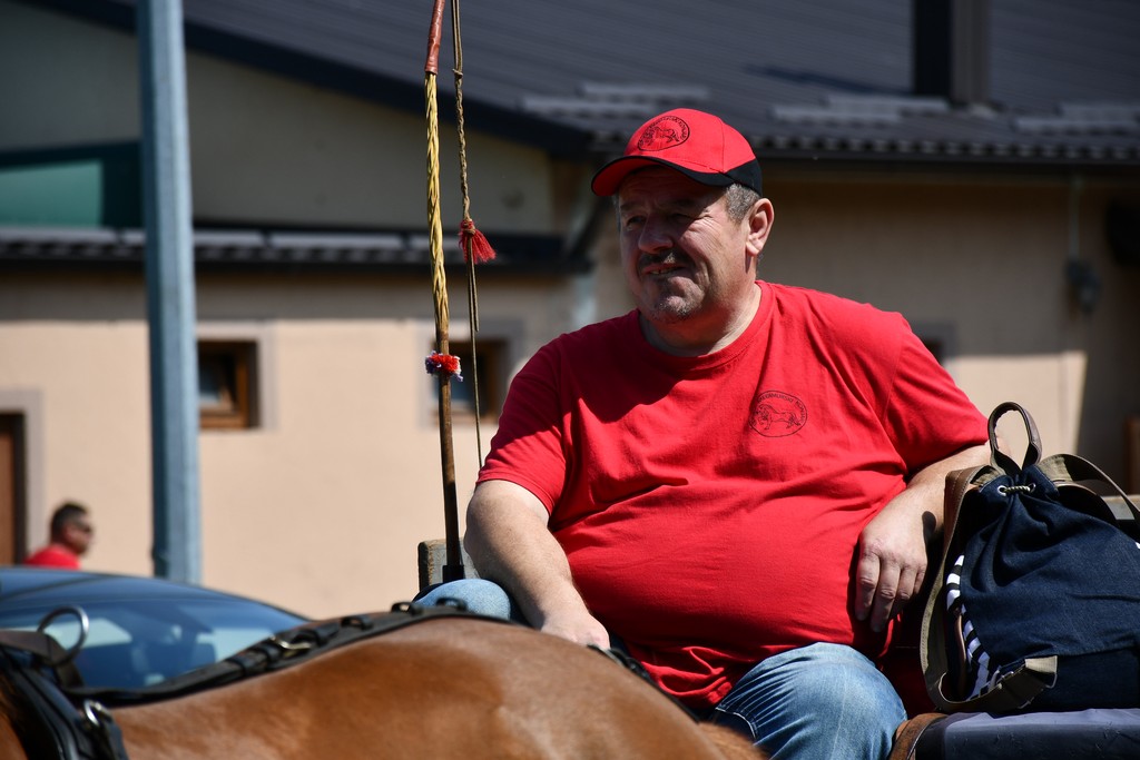 VIDEO I FOTO Međunarodno konjičko druženje okupilo brojne uzgajivače konja iz SZ Hrvatske te Slovenije i Austrije