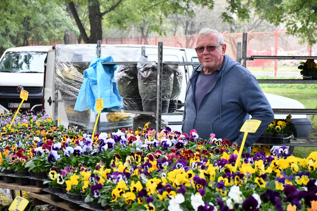 FOTO S dolaskom hladnijih dana povećan interes za kupnju drva za ogrjev