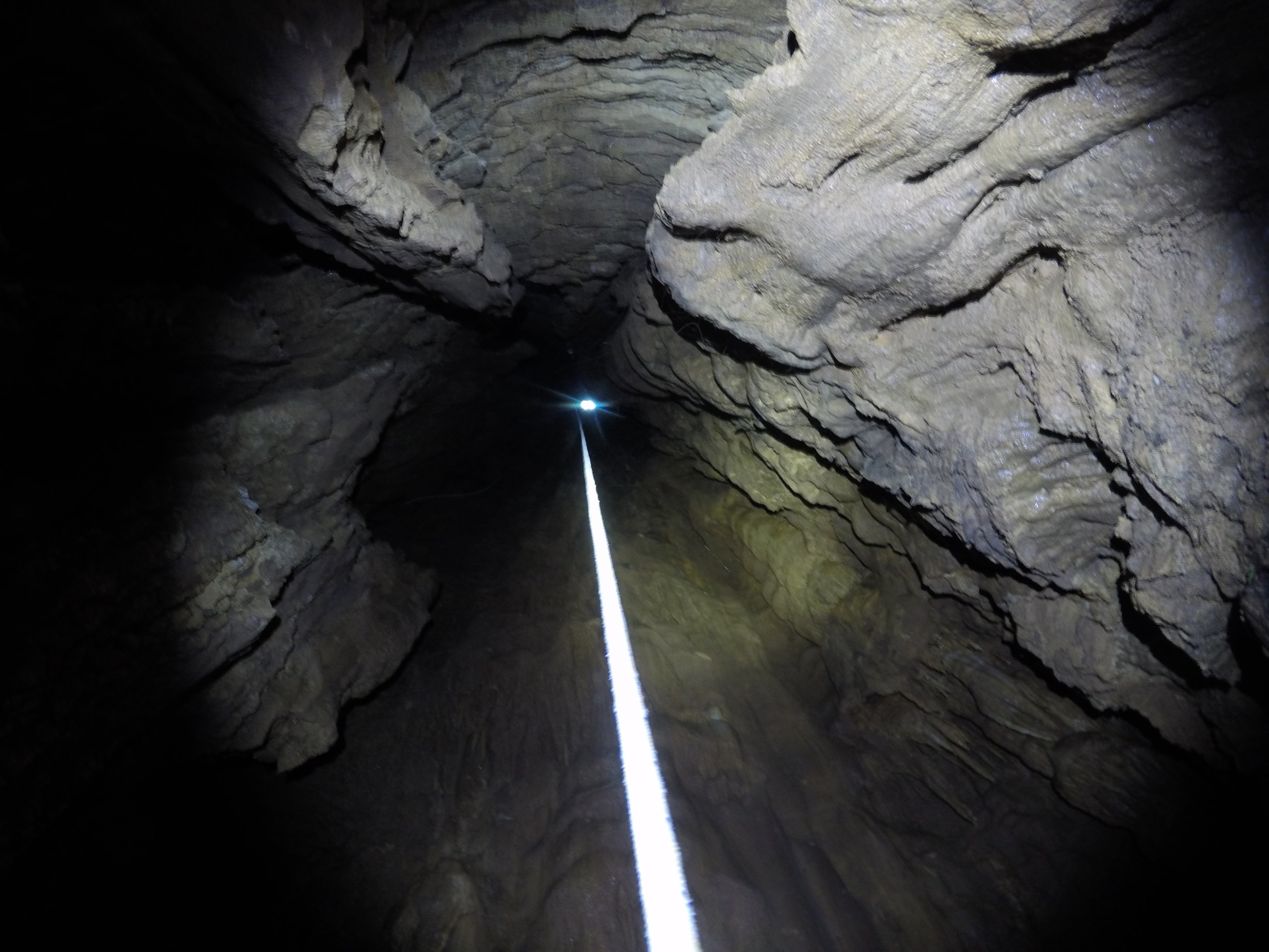 DCIM100GOPROGOPR2033.