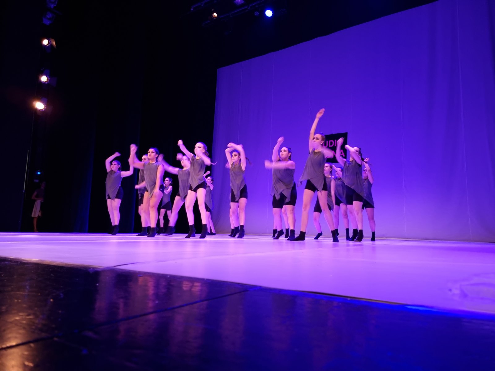 Zimska plesna produkcija