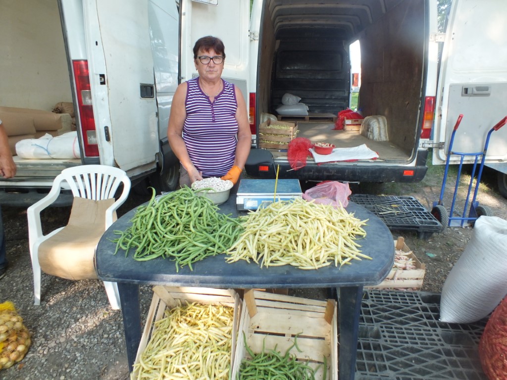 Image 5810935 (auto)