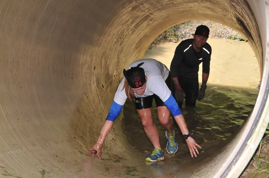 Hog race na imanju PG Geler