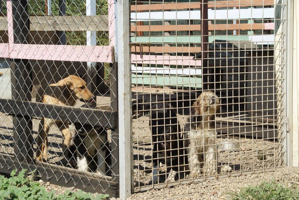 1204148610208324028287474156785