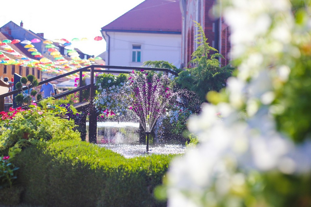 Cvjetne inovacije i ručno izrađeni predmeti ponovno krase centar Čakovca