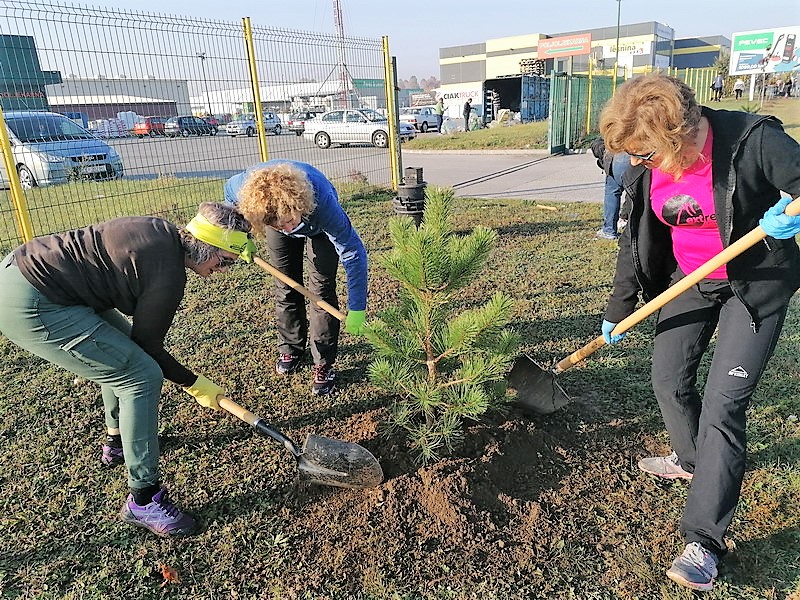 BRAVO, MEĐIMURCI U akciji sadnje drveća na širem čakovečkom području posađeno stotine novih stabala BRAVO, MEĐIMURCI U akciji sadnje drveća na širem čakovečkom području posađeno stotine novih stabala