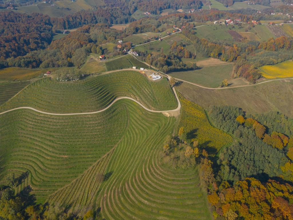 Image 5118898 (auto) Image 5118898 (auto)