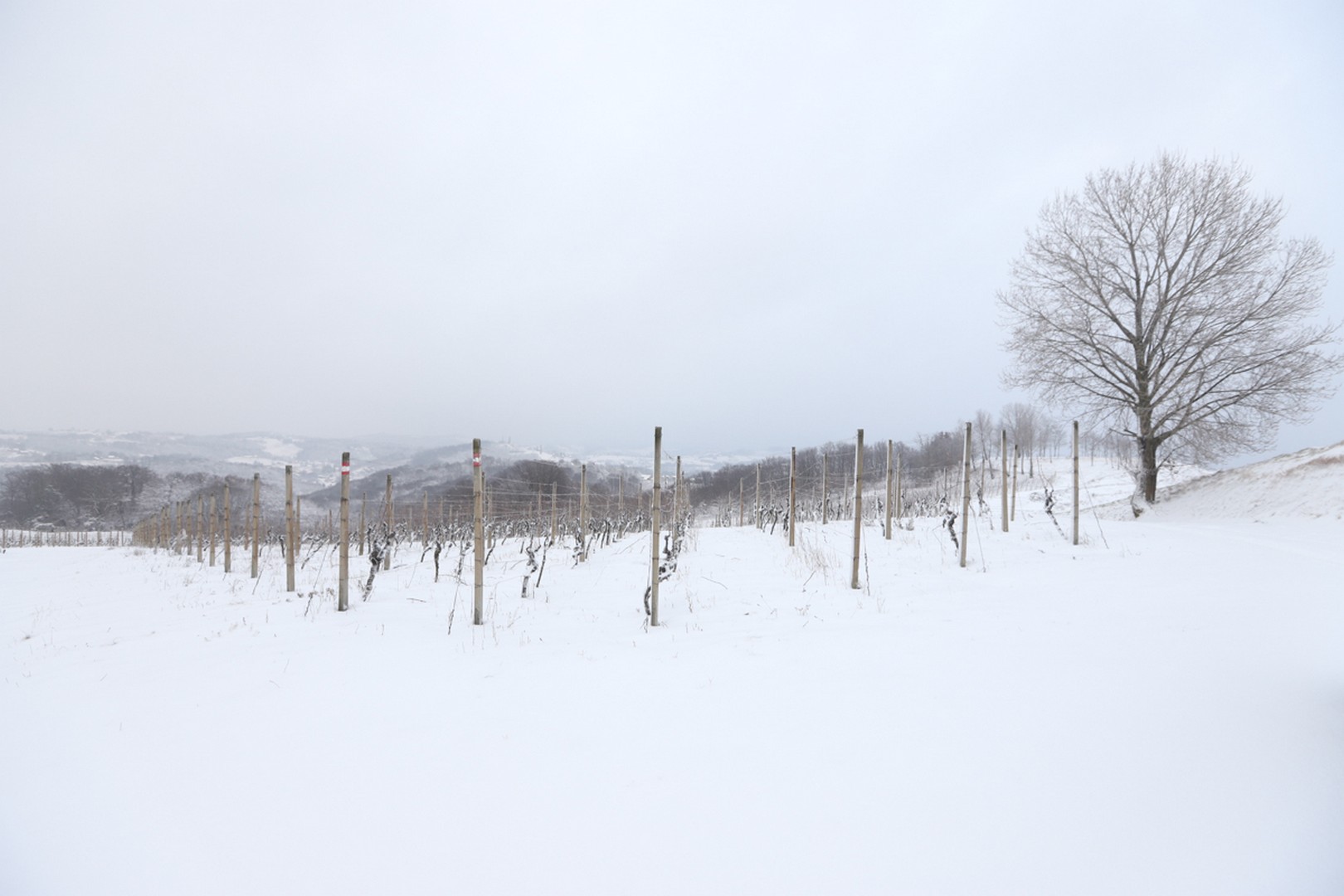 Mađerkin breg pokriven snijegom