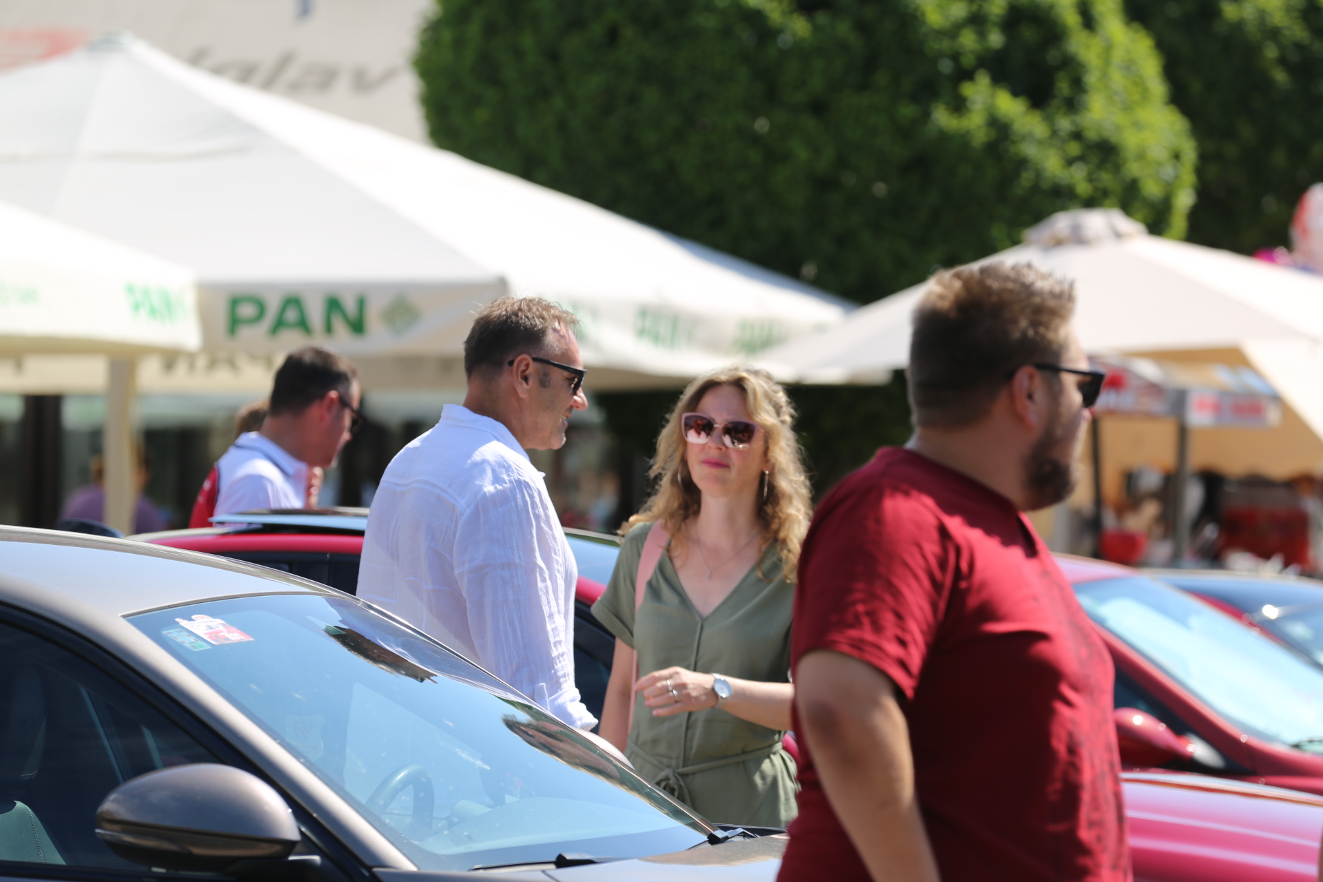 Susret ljubitelja Alfe u Čakovcu