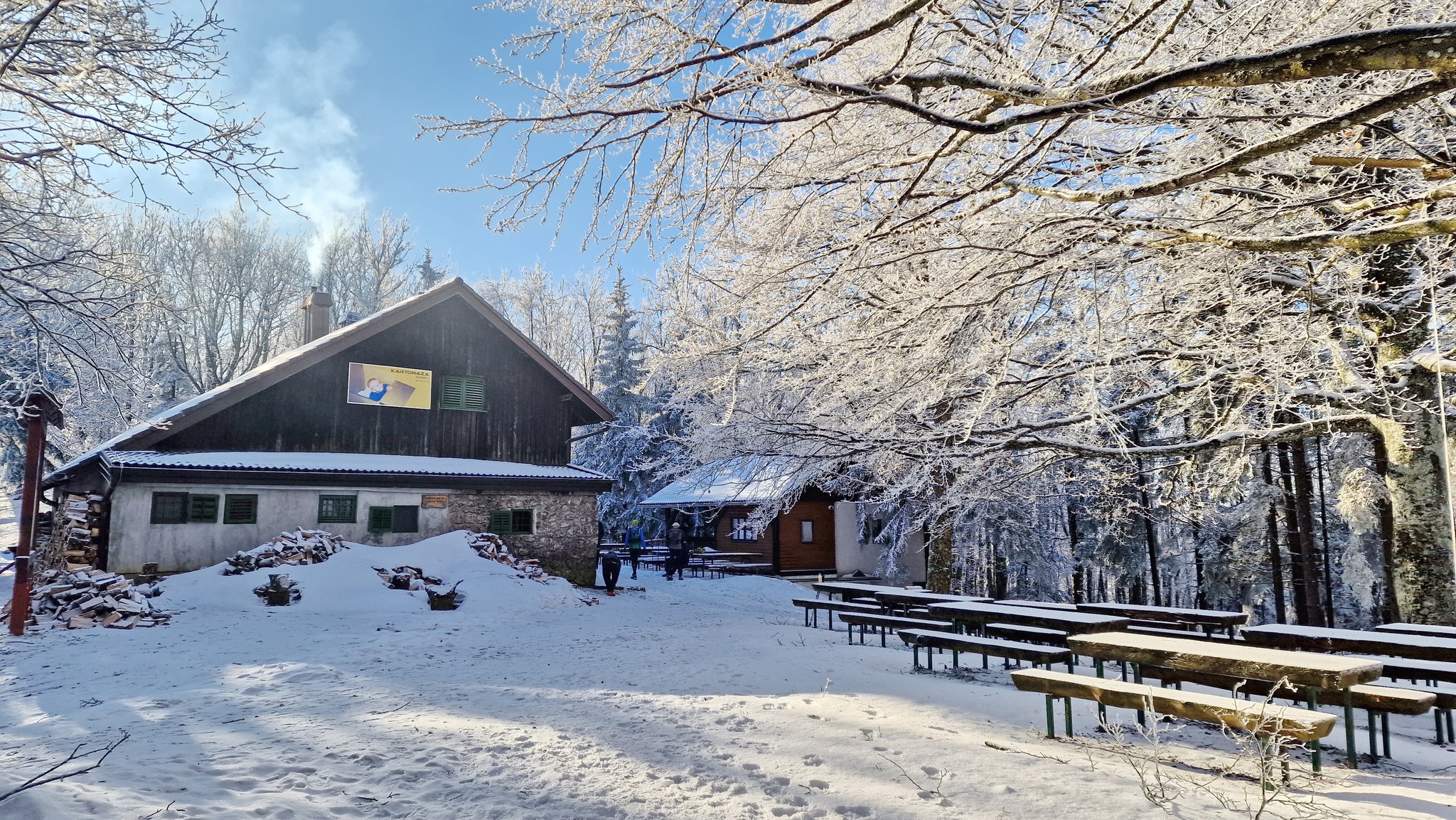 Image 5565691 (auto)