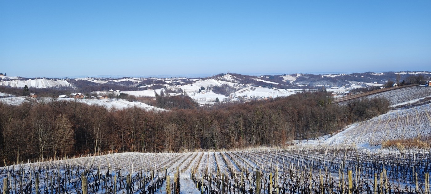 Vincekov pohod po štrigovskim bregima, Vincekovo, Štrigova 2024. Vincekov pohod po štrigovskim bregima, Vincekovo, Štrigova 2024.