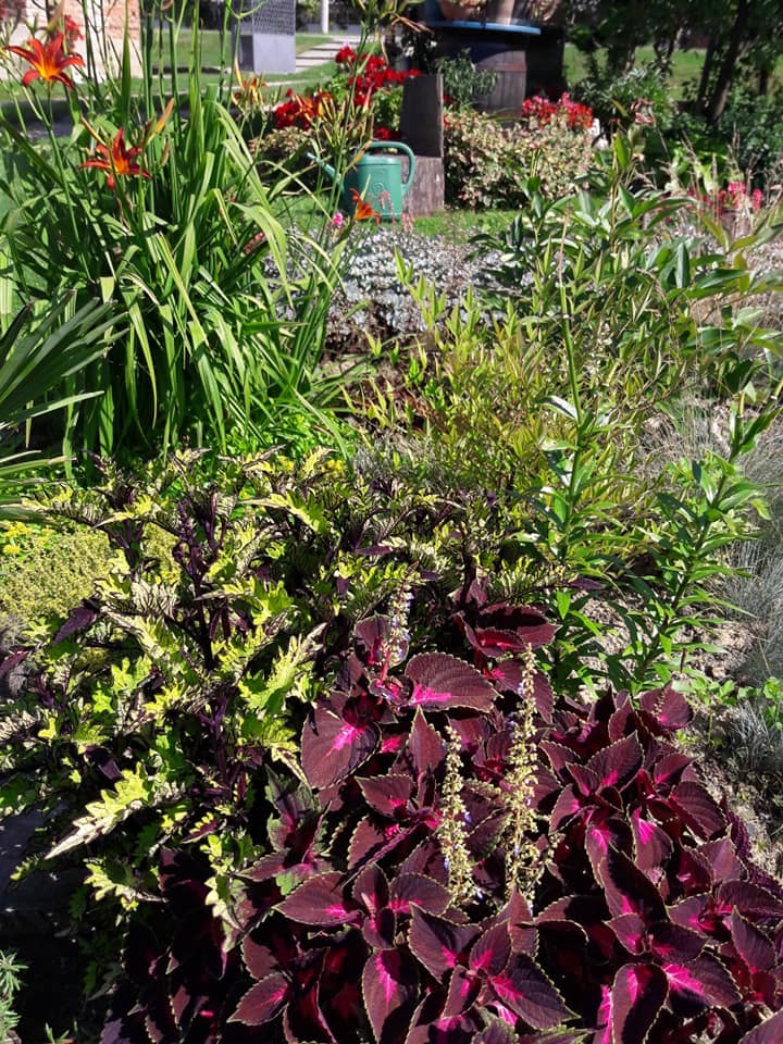 Dvorište obitelji Cenko