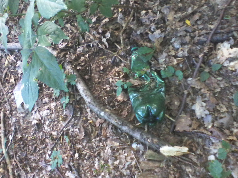 fotografija0043372904