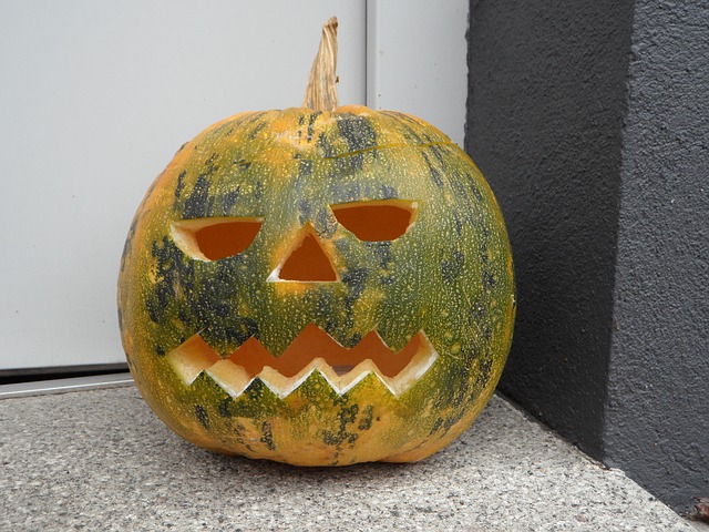 pumpkin67080640195815