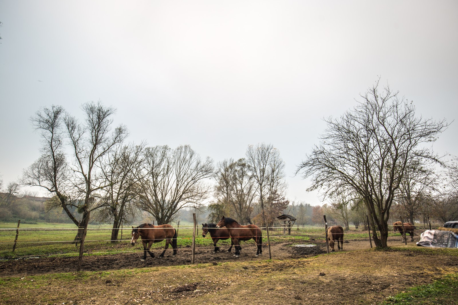 Međimurje se predalo jeseni