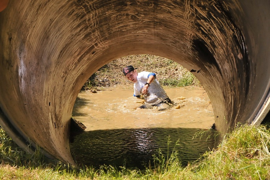 Hog race na imanju PG Geler