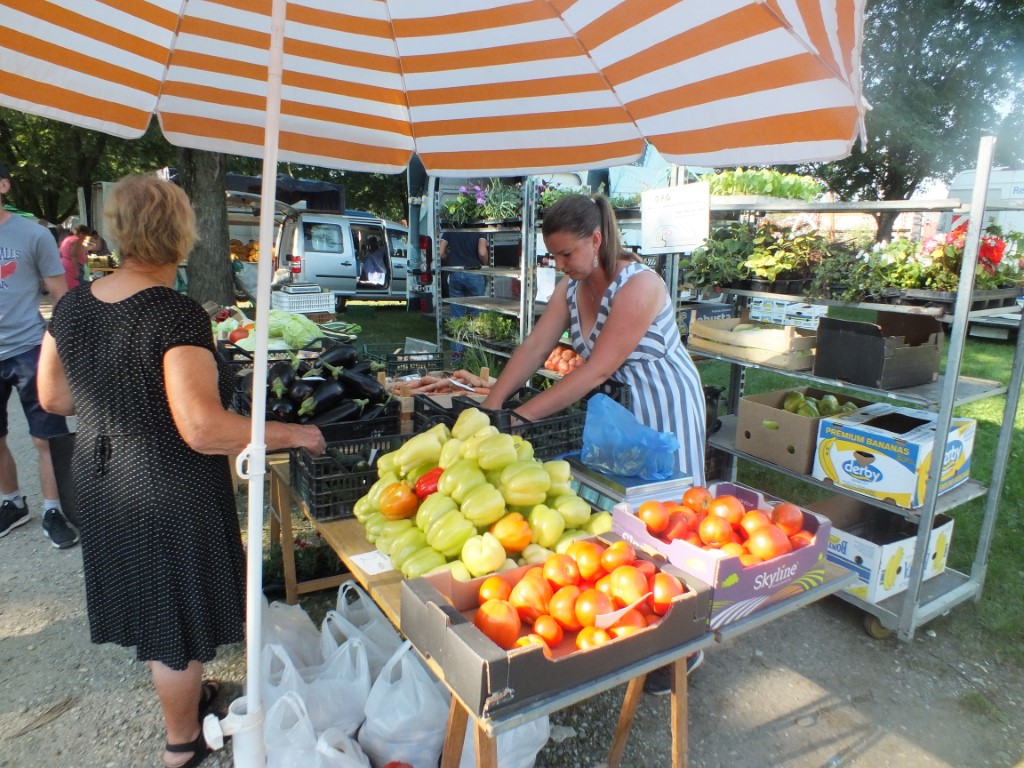 Image 5810897 (auto)