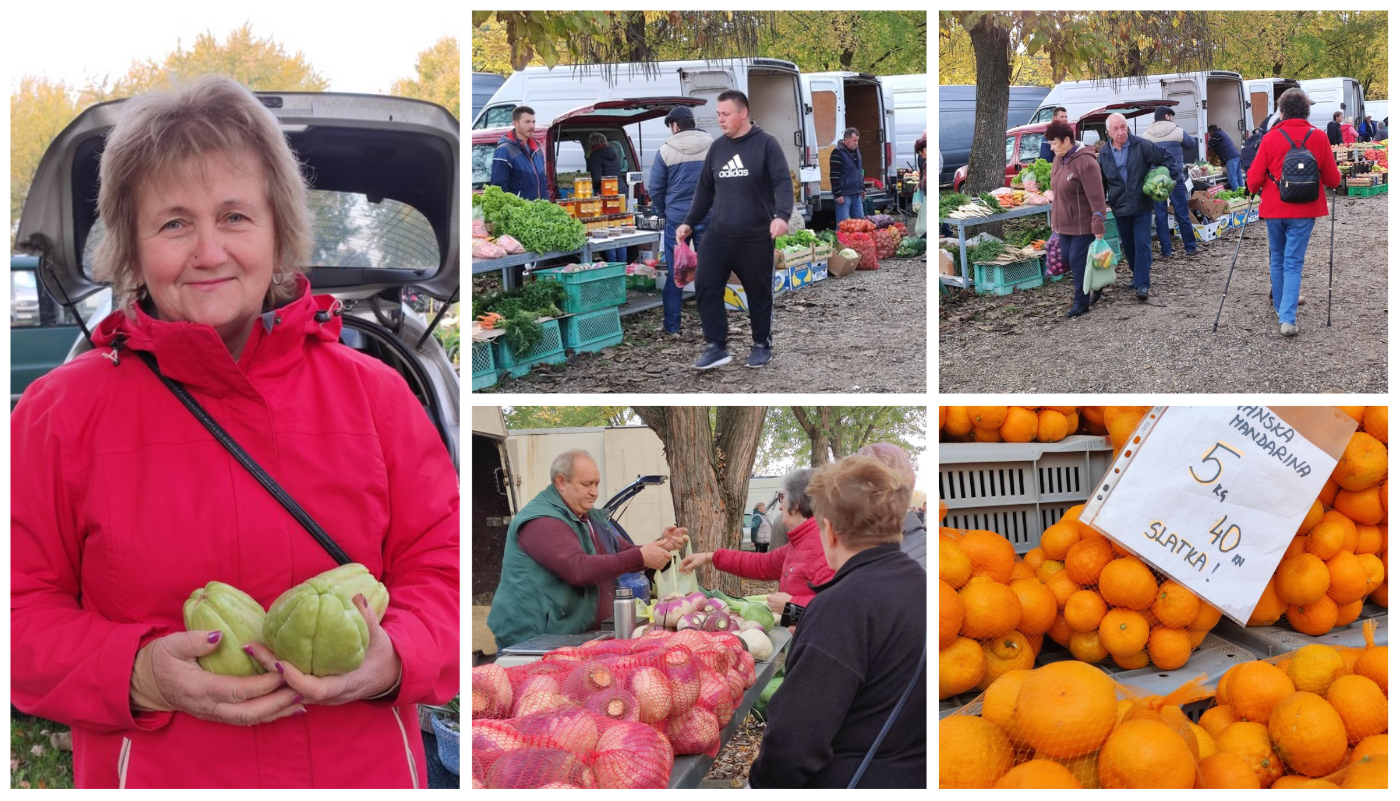 SAJAM SRIJEDOM Jeste li već probali meksički krastavac ili čajot?