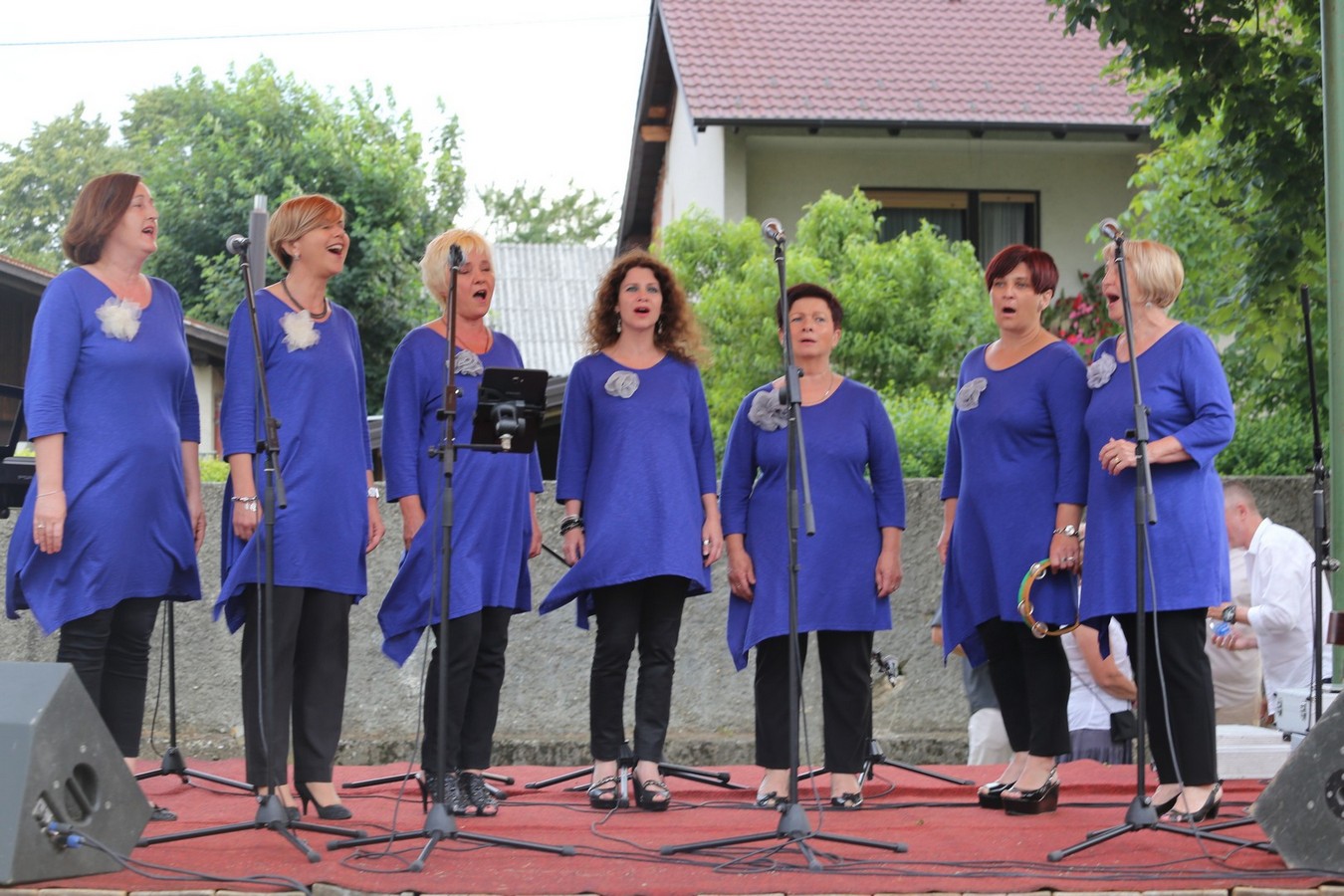 ZA MALU HRABRICU ‘Fijolina za Luku’ – veliki humanitarni koncert za Luku Lehkec u Pribislavcu