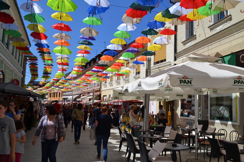 dsc00597600731377922