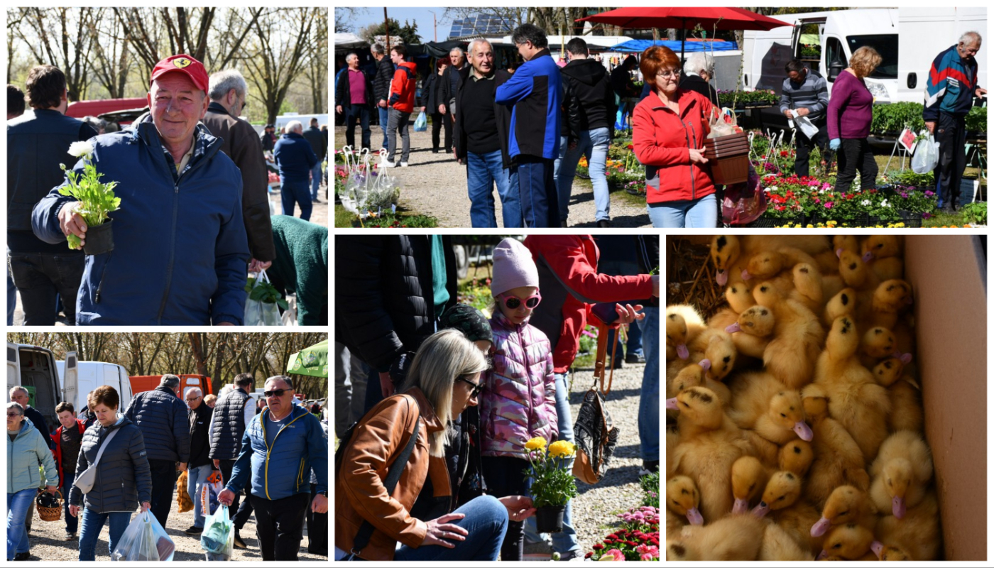 Proljetne temperature izmamile brojne posjetitelje na sajam u Čakovcu