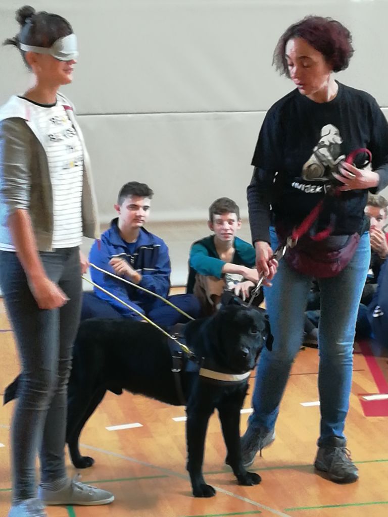 img20171018104537435337