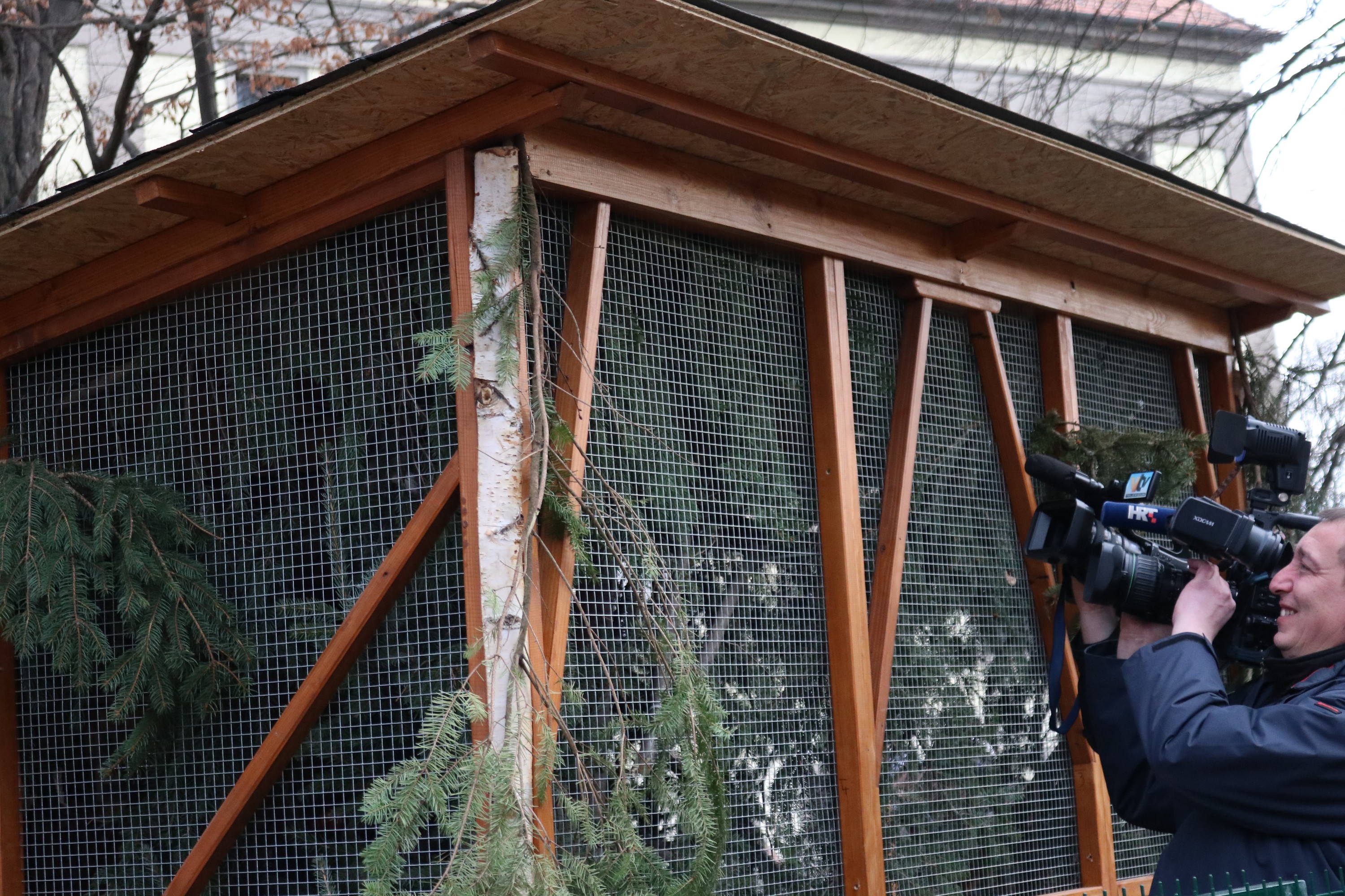 Crvene vjeverice stigle u Čakovec