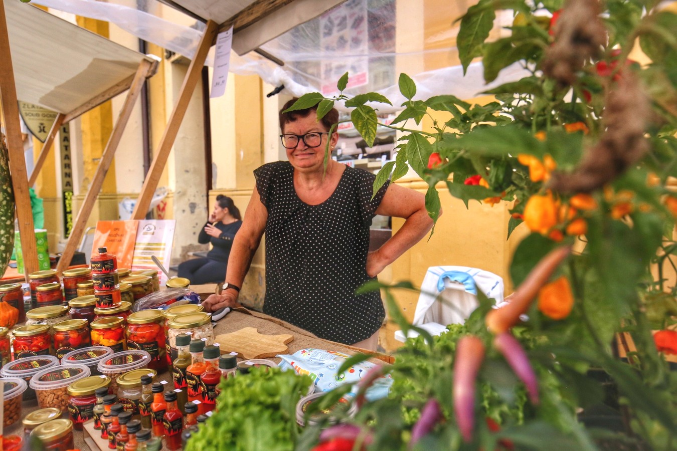 JESEN U GRADU ZRINSKIH Čakovec ‘obukao’ predivno jesensko ruho