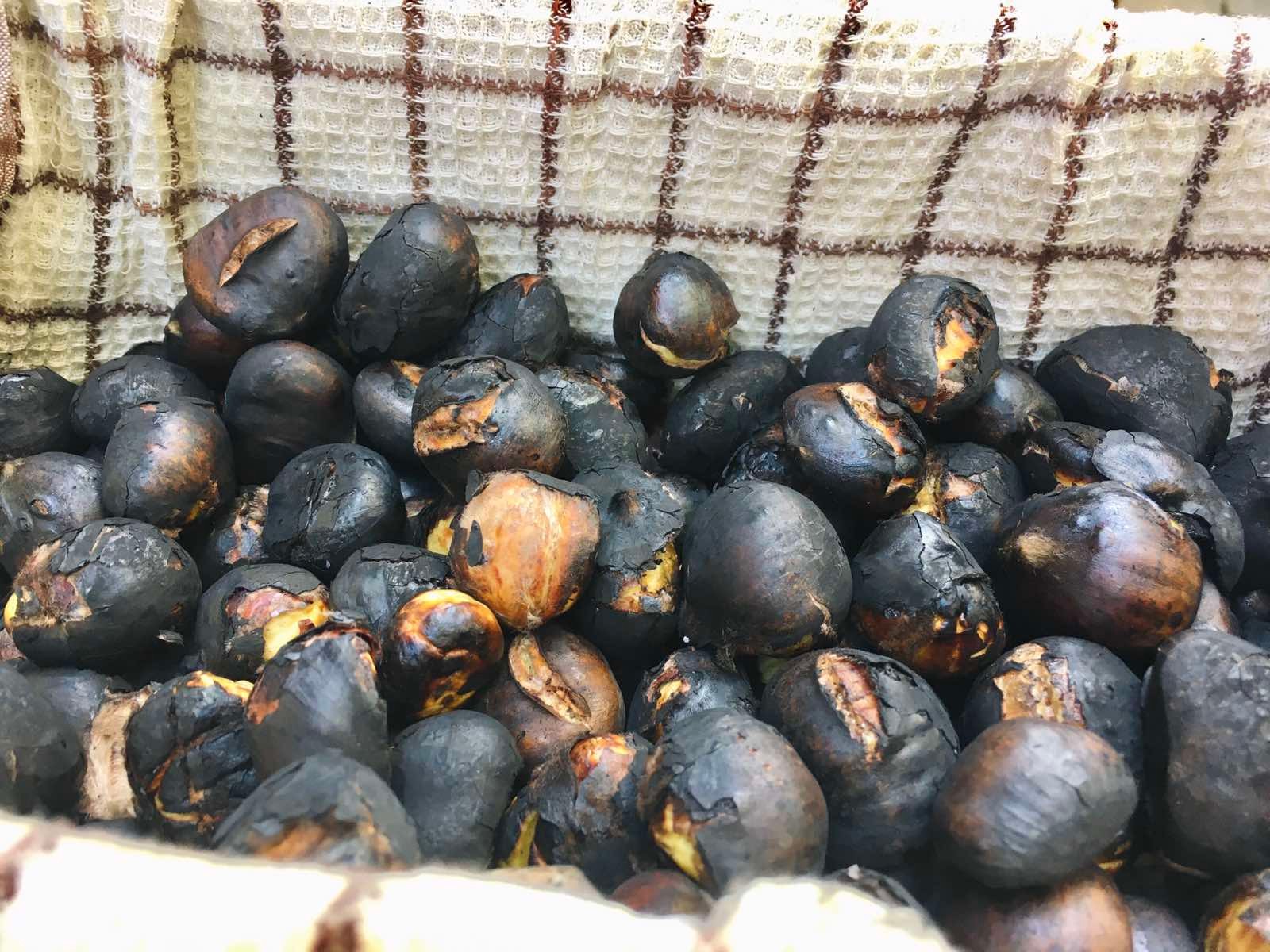 Veselo je na preloškoj Marini: Kestenijada i druženje članova Nautičkog kluba Labud